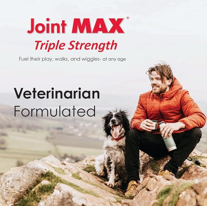 TS Joint Supplement Vet Formulated Pain &amp; Inflammation Relief Treats Hip Dysplasia &amp; Arthritis, Glucosamine, Chondroitin, Turmeric, MSM, HA, Creatine, Omega 3 EPA + DHA.120 Soft Chews