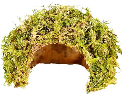 Coconut Hamster Hideout Hamster House Gerbil Cage for Small Animals with a Bundle of Apple Sticks a Carrot (Green)