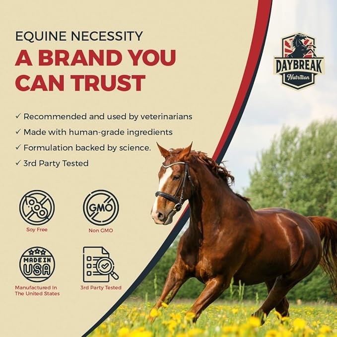 8 in 1 Maximum Strength Equine Joint Supplement - Joint Supplement for Horses - Glucosamine, MSM, Chondroitin, Turmeric, Hyaluronic Acid, Manganese, &amp; Boswelia - 964g (30 Servings)