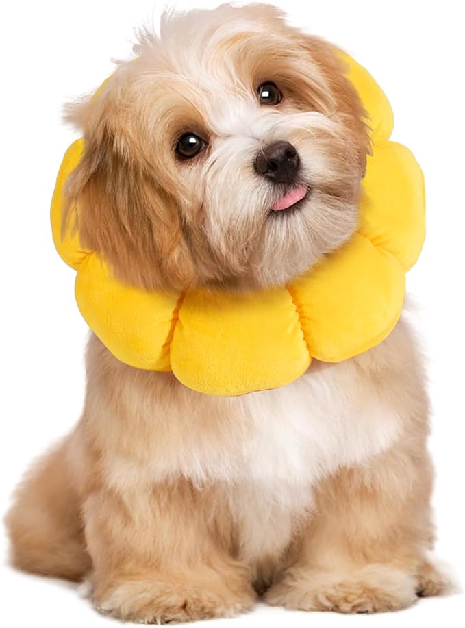 HOMBYS Soft Dog Cone for Dogs and Cats, Cute &amp; Fluffy Flower Shape for Claming, Adjustable Dog Collar Alternative After Surgery, Protective Elizabethan Collar for Dogs Recovery &amp; Stop Licking, L