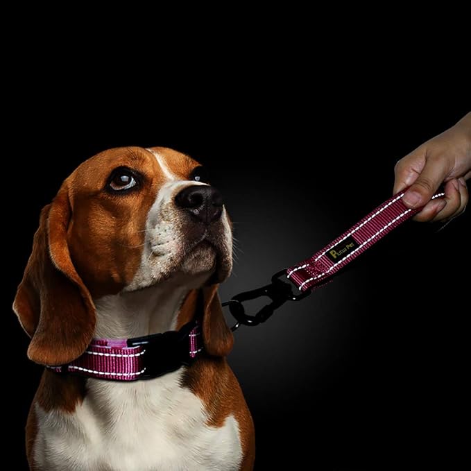 PLUTUS PET 10 Inch Short Dog Leash for Large Dogs with Locking Carabiner Clip &amp; Padded Handle （10”, Pink）