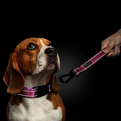 PLUTUS PET 10 Inch Short Dog Leash for Large Dogs with Locking Carabiner Clip &amp; Padded Handle （10”, Pink）