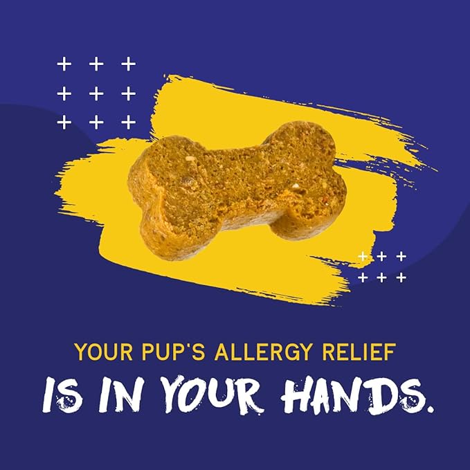PupGrade Itch &amp; Allergy Chew Supplement for Dogs Improved Immune Support &amp; Seasonal Allergies with Alaskan Salmon Fish Oil - Helps with Anti-Itch - 60 Soft Chews