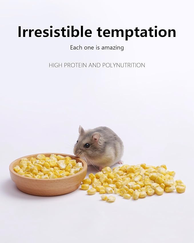 Niteangel Hamster Snack &amp; Treats Toy - Small Animal Natural Treat for Dwarf Syrian Robo Hamsters Gerbils Mice Lemmings Degus or Other Small-Sized Pets