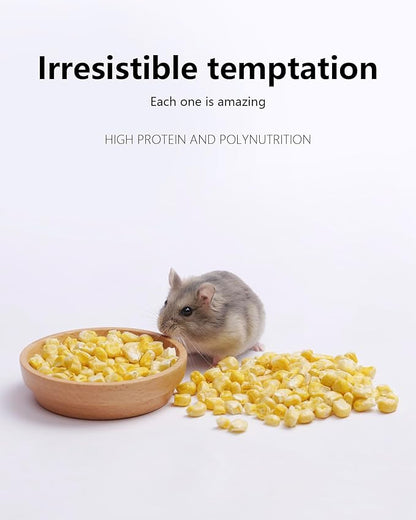 Niteangel Hamster Snack &amp; Treats Toy - Small Animal Natural Treat for Dwarf Syrian Robo Hamsters Gerbils Mice Lemmings Degus or Other Small-Sized Pets