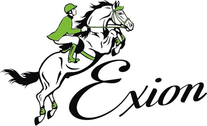 Exion Leather Horse Halter with Padding &amp; Clincher Studs – Adjustable Quick‑Release Crownpiece Halter for Horses – Vegetable‑Tanned Leather in Black &amp; Brown – Cob, Full &amp; Oversize
