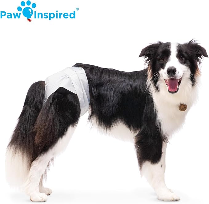 Paw Inspired Disposable Dog Diapers | Female Dog Diapers Ultra Protection | Diapers for Dogs in Heat, Excitable Urination, or Incontinence (12&amp;144 Count) (Large (144 Count))