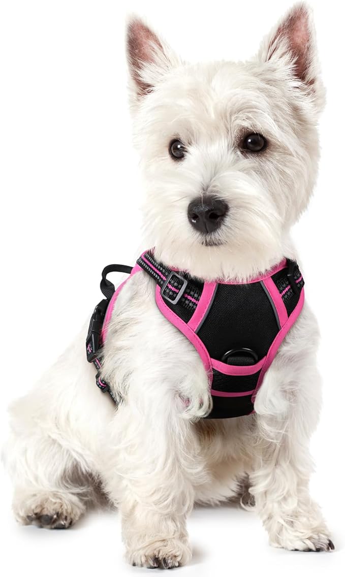 rabbitgoo Dog Harness No Pull with 2 Leash Clips, Adjustable Soft Padded, Reflective Oxford No Choke Pet Vest with Easy Control Handle for Large Dogs, Black &amp; Hot Pink, XS