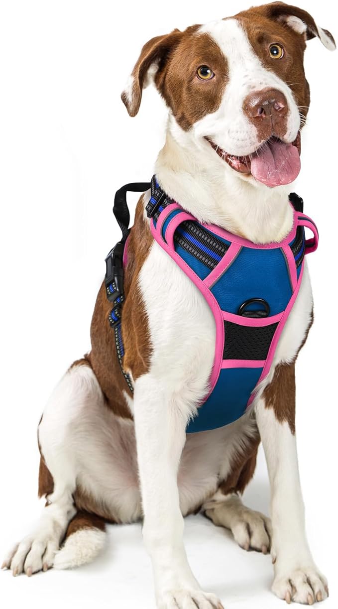 rabbitgoo Dog Harness No Pull with 2 Leash Clips, Adjustable Soft Padded, Reflective Oxford No Choke Pet Vest with Easy Control Handle for Large Dogs, Blue &amp; Hot Pink, L