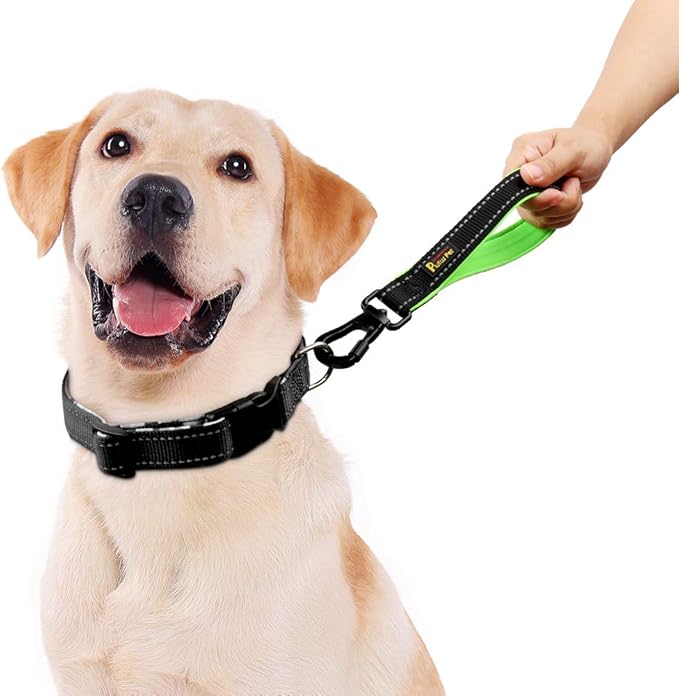 PLUTUS PET 10 Inch Short Dog Leash for Large Dogs with Locking Carabiner Clip &amp; Padded Handle（10”, Black）