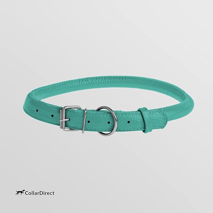 CollarDirect Rolled Leather Dog Collar, Soft Padded Round Puppy Collar, Handmade Genuine Leather Collar Dog Small Large Cat Collars 13 Colors (11-14 Inch, Mint Green Textured)