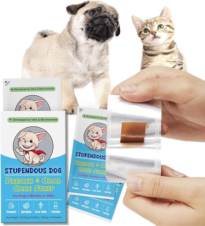 Breath Freshener Strip for Clean Teeth, Fresh Breath, &amp; Healthy Mouth: Dog Water Additive for Dental Care - Pet Bad Breath Remedy - Cat Dental Mint Treats (10 Strips)