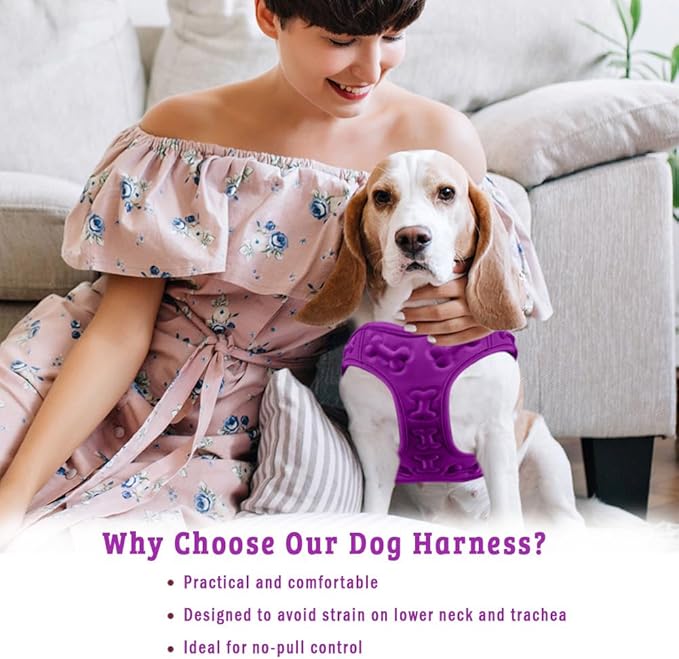Comfort Fit Dog Harness No Pull with Adjustable Buckles Soft Padded Reflective Choke Step-in Pet Vest with Easy Control Handle for Small Medium Large Dogs &amp; Puppies for Walking Running Training