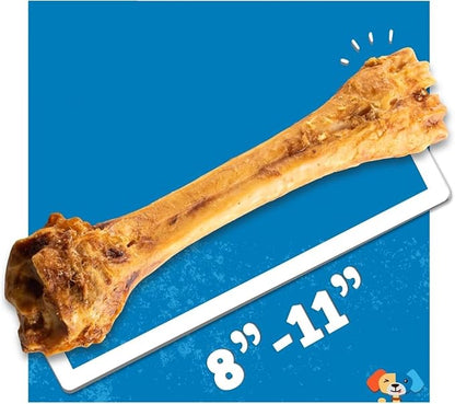 Jack&amp;Pup 8-11” Shin Bones, Roasted Meaty Beef Bone for Dogs – Long Lasting Natural Dog Bones, Big Dog Bone for Large Dogs (1 Pack)