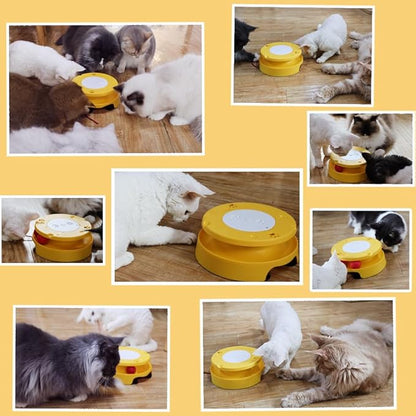 LASOCUHOO 2-in-1 Automatic Cat Toy with Track &amp; Jumping String – Interactive Electric Toy with Rolling Balls &amp; Bell, Battery-Powered (3 AA), Auto Shut-Off for Multi-Cat Play