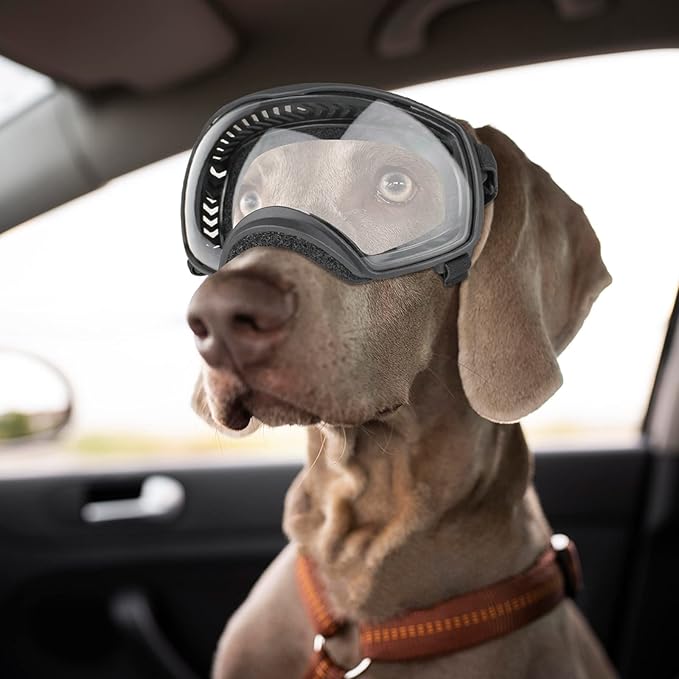 NAMSAN Clear Dog Goggles for Large Dogs, Wide Eyecup &amp; Soft Frame, Anti-UV Sunglasses for Dogs Medium to Large Breed, Driving Dog Eye Protection, Windproof Dustproof, Adjustable, Black Frame