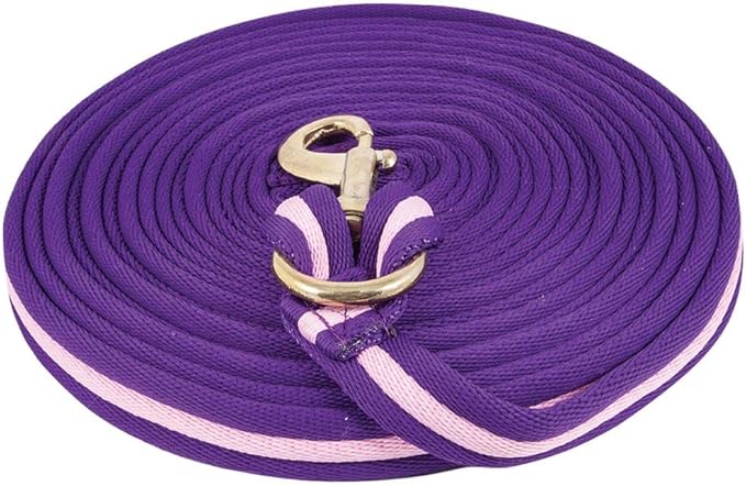 Dura-Tech Cushion Lunge Line for Horses | Stable Use &amp; Horse Training | Horse Lunge Line with Snap | Durable Horse Lead Rope | 30 Foot Length | Replaceable Brass Snap