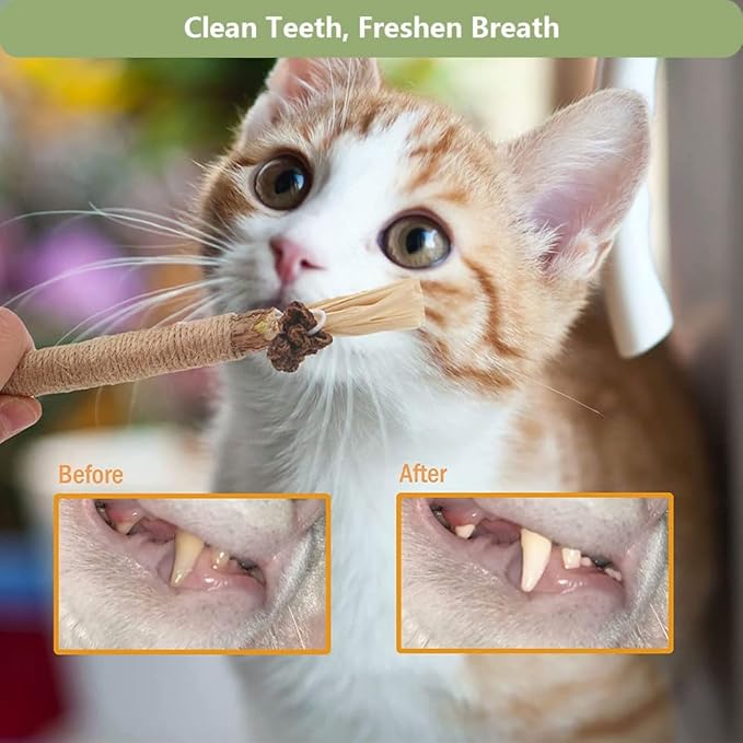5 PCS Silvervine Sticks for Cats - Natural Cat Chew Toys for Teeth Cleaning, Kitten Teething &amp; Aggressive Chewers