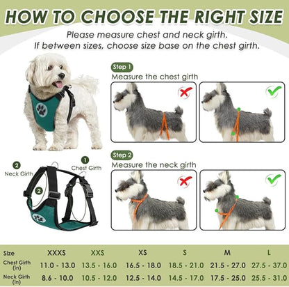 SlowTon Dog Seat Belt Harness for Car, Dog Car Harness Adjustable Mesh Breathable &amp; Dog Seatbelt Safety Tether with Elastic Bungee for Small Medium Large Pets(Green, Double Clip, L)