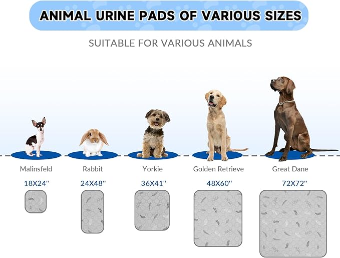 Sunheir Washable Pee Pads for Small Pet 5-Pack, Reusable Pet Training Pads Absorbent &amp; Leak-Free, Waterproof Pee Pads for Dog Cat Rabbit Guinea Pig Hamster, Whelping Pad (Leaves - Sky Blue, 12x12)
