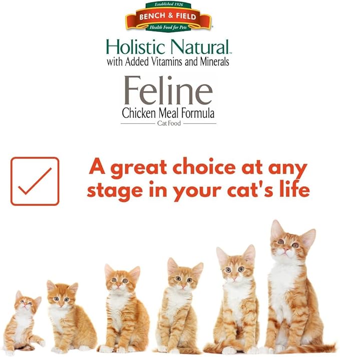 Bench &amp; Field Holistic Natural Premium Adult Dry Cat Food, Chicken Meal and Brown Rice Recipe 25 lb Bag (Pack of 1)