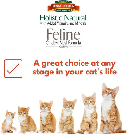 Bench &amp; Field Holistic Natural Premium Adult Dry Cat Food, Chicken Meal and Brown Rice Recipe 25 lb Bag (Pack of 1)