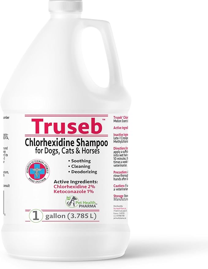 Truseb All Natural Topical Ketoconazole and Chlorhexidine Shampoo for Dogs, Cats &amp; Horses with Aloe Vera Shampoo and Conditioner(Ketoconazole &amp; Chlorhexidine Shampoo, 1 Gallon)