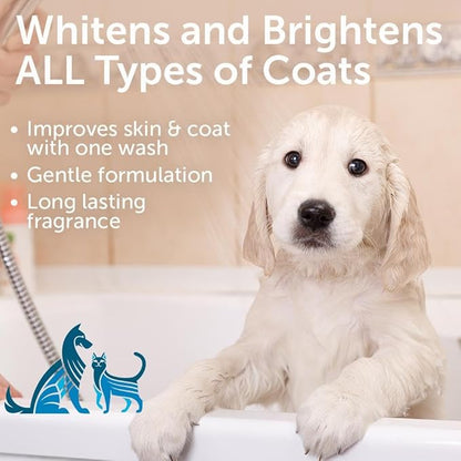 Nootie - Pet Shampoo for Sensitive Skin - Revitalizes Dry Skin &amp; Coat - Natural Ingredients - Gentle Dog Shampoo - Cleans &amp; Conditions