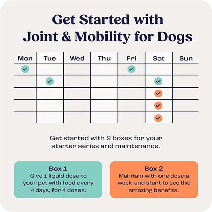 Summit Canine Joint and Mobility Supplement for Medium Dogs, All Natural Liquid Chondroitin, Liposomal Delivery for Arthritis, Hip &amp; Joint Support Vitamin, (Dogs, 25-75lbs)