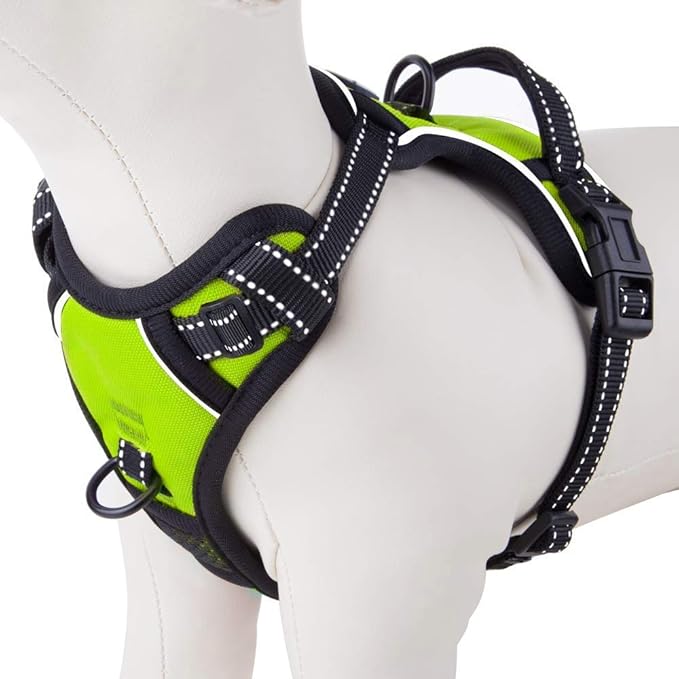 PHOEPET No Pull Dog Harnesses for Small Puppies Reflective Adjustable Front Clip Vest with 2 Metal Leash Attachment Hooks Soft Handle(S, Green)