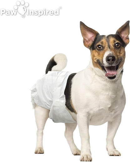 Paw Inspired Disposable Dog Diapers | Female Dog Diapers Ultra Protection | Diapers for Dogs in Heat, Excitable Urination, or Incontinence (144 Count, Medium)