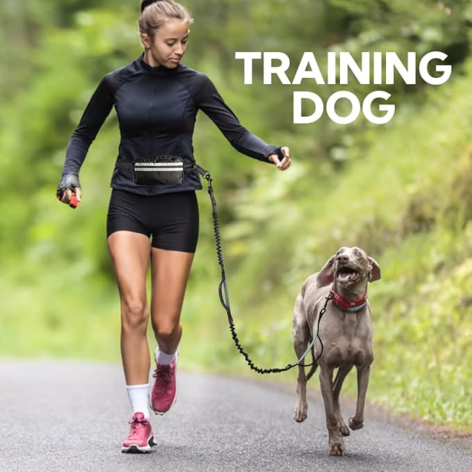 Hands Free Dog Leash with Pouch, Retractable Bungee, Double Padded Handles for Walking, Waist Leash for Medium &amp; Large Dogs, Walking Accessories