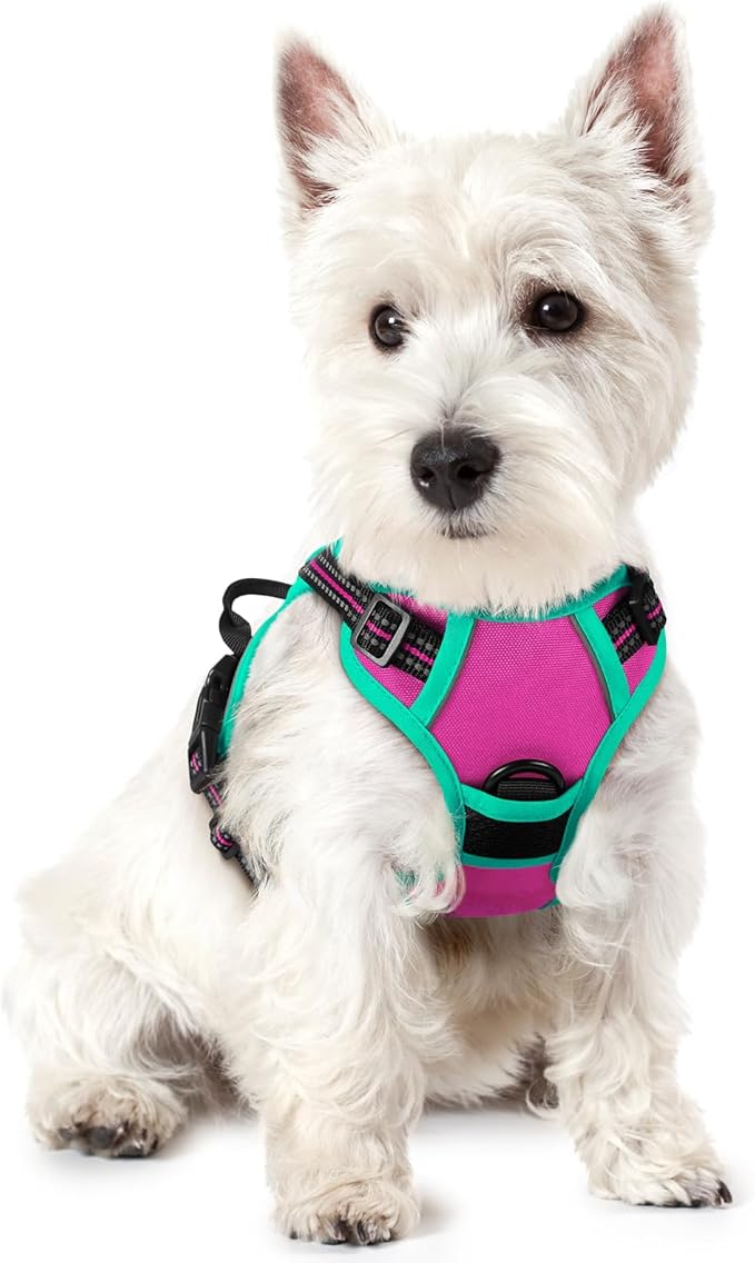 rabbitgoo Dog Harness No Pull with 2 Leash Clips, Adjustable Soft Padded, Reflective Oxford No Choke Pet Vest with Easy Control Handle for Large Dogs, Hot Pink &amp; Turquoise, XS