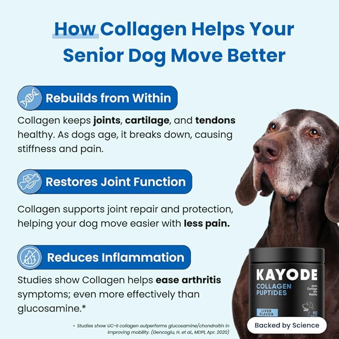 Collagen Puptides - Collagen for Dogs | Premium Dog Joint Supplement | 2X The Amount As Liquid Droppers | Great for Senior &amp; Adult Dogs. Includes Omega 3.