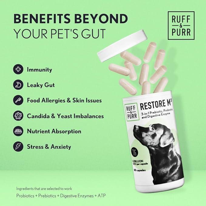 Ruff &amp; Purr Probiotics for Dogs – 3-in-1 Probiotics, Prebiotics and Digestive Enzymes for Gut Health, Immune Support, Healthy Skin and Coat – Clinically Studied DE111 &amp; PreforPro