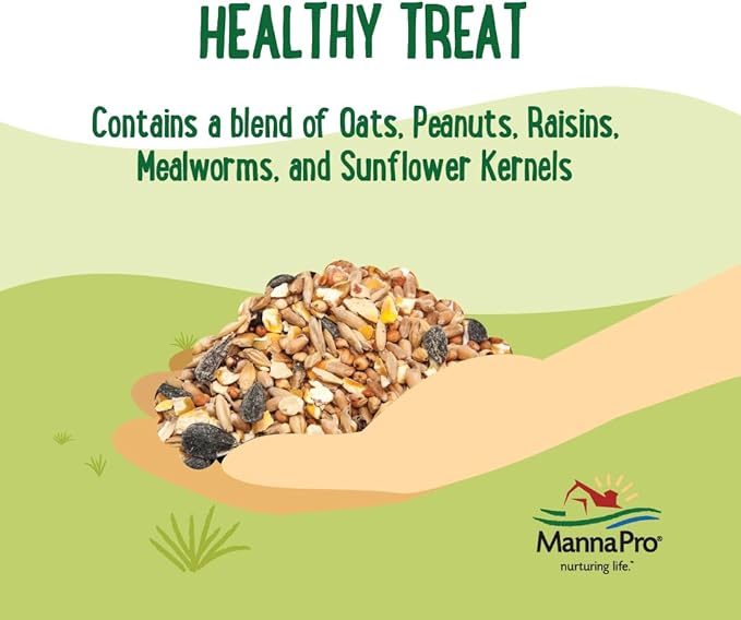 Manna Pro Farmhouse Favorites Oat &amp; Mealworm Mix Poultry Treat – Natural Protein Source – Encouraging Poultry Treat – Mix of Oats, Peanuts, Raisins, Mealworms, Sunflower Kernels – 2lbs