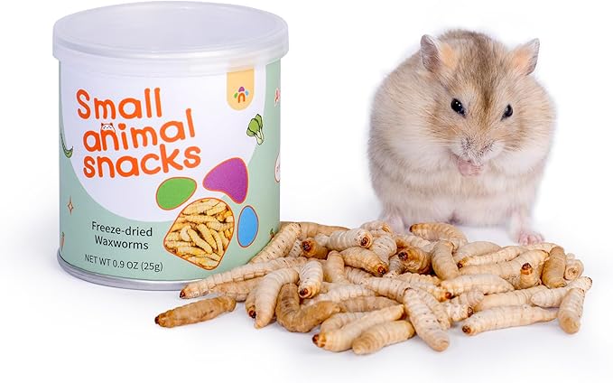 Niteangel Small Animal Snack &amp; Treats - Small Critter Natural Treat for Dwarf Syrian Hamsters Gerbils Mice Sugar Glider Hedgehogs Chickens Birds (Freeze-Dried Worms- 0.9oz (25g))