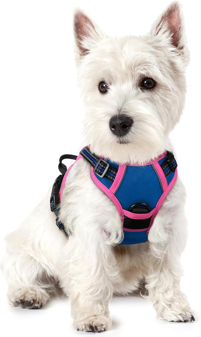 rabbitgoo Dog Harness No Pull with 2 Leash Clips, Adjustable Soft Padded, Reflective Oxford No Choke Pet Vest with Easy Control Handle for Large Dogs, Blue &amp; Hot Pink, XS