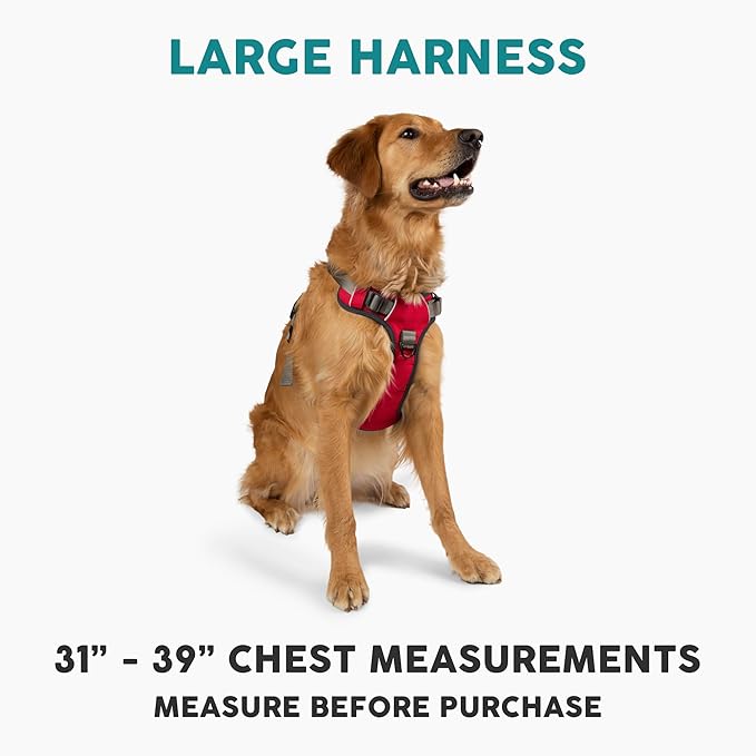 Embark Adventure Dog Harness, Reflective Trim No Pull Dog Harnesses for Small Sized Dogs - Military Grade Nylon, Front Clip with Gel Lined Handle. Soft &amp; Padded Puppy