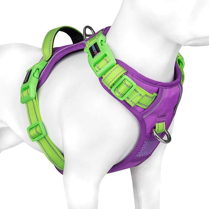 PHOEPET No Pull Dog Harness, Unique Colors Reflective Adjustable Dog Vest, with Soft Training Handle Metal Clips for Small Medium Large Dogs (Purple Base &amp; Green Straps,XS)