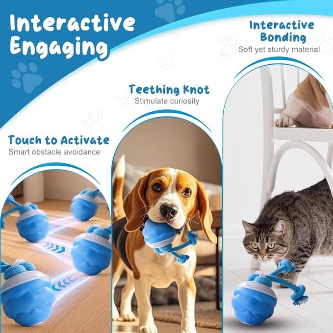 2026 New Interactive Pet Toy Ball, Smart Interactive Toy Ball for Cats &amp; Dogs, Electric Rolling Pet Toy Ball, Rechargeable Interactive Cat Toys for Bored Indoor Cats Kittens to Keep Busy (Blue)