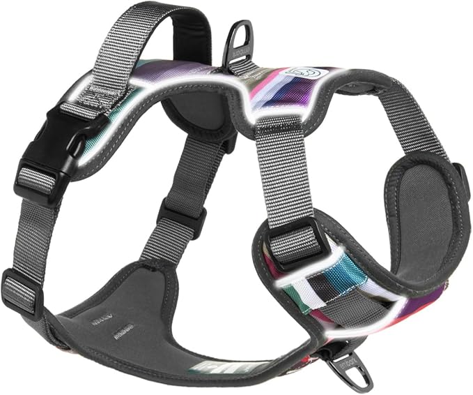Embark Adventure Dog Harness, Reflective Trim No Pull Dog Harnesses for Small Sized Dogs - Military Grade Nylon, Front Clip with Gel Lined Handle. Soft &amp; Padded Puppy