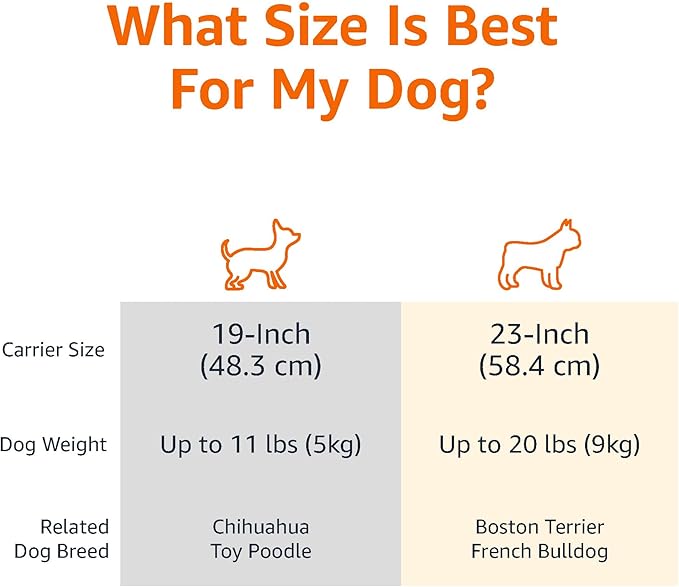 Amazon Basics 2-Door Top-Load Hard-Sided Dogs, Cats Pet Travel Carrier, Gray &amp; Blue, 22.8"L x 15.0"W x 13.0"H