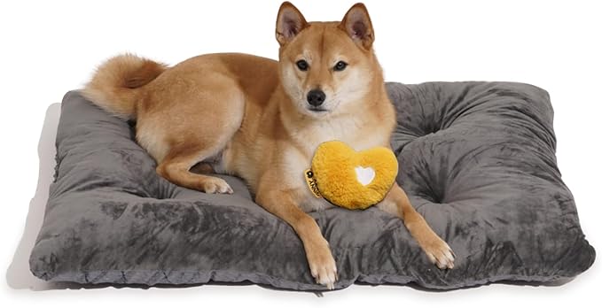 FUNNY FUZZY 35×23 Washable Dog Crate Bed,Orthopedic Cushion Mattress for Large Dogs-Fits 36 Inch Dog Crates, Reversible,Durable &amp; Comfortable Pet Bed,L,Charcoal Grey