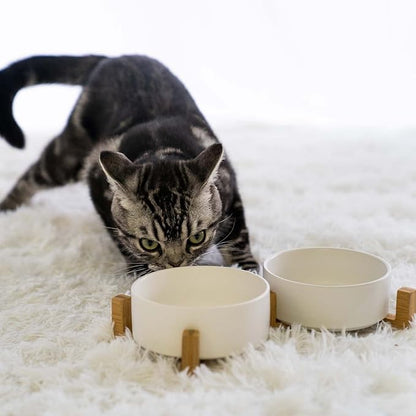 SPUNKYJUNKY Ceramic Dog and Cat Bowl with Wood Stand Non-Slip Matte Glaze Weighted Food Water Set for Cats &amp;Small Dogs 13.5 OZ