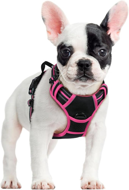 rabbitgoo Dog Harness No Pull with 2 Leash Clips, Adjustable Soft Padded, Reflective Oxford No Choke Pet Vest with Easy Control Handle for Large Dogs, Black &amp; Hot Pink, S