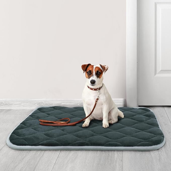 furrybaby Dog Bed Mat Flat Crate Mat with Anti-Slip Bottom Machine Washable Pet Kennel Pad for Dog Sleeping (XL 48x30&