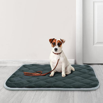 furrybaby Dog Bed Mat Flat Crate Mat with Anti-Slip Bottom Machine Washable Pet Kennel Pad for Dog Sleeping (XL 48x30&