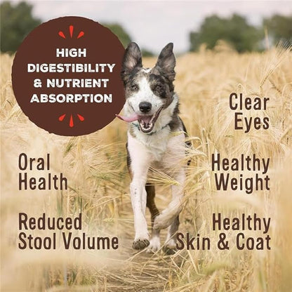 Primal Freeze Dried Raw Dog Food Nuggets, Rabbit, Complete &amp; Balanced Meal, Also Use as Topper or Treat, Premium, Healthy, Grain Free, High Protein Raw Dog Food, 14 oz