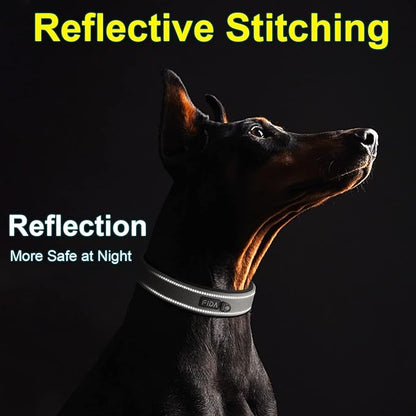 Fida Heavy Duty Dog Collar, Ultra Comfortable Soft Neoprene Padded, Adjustable Reflective Nylon Pet Collar with Durable Metal Belt Buckle for Large Breeds (L, Grey)